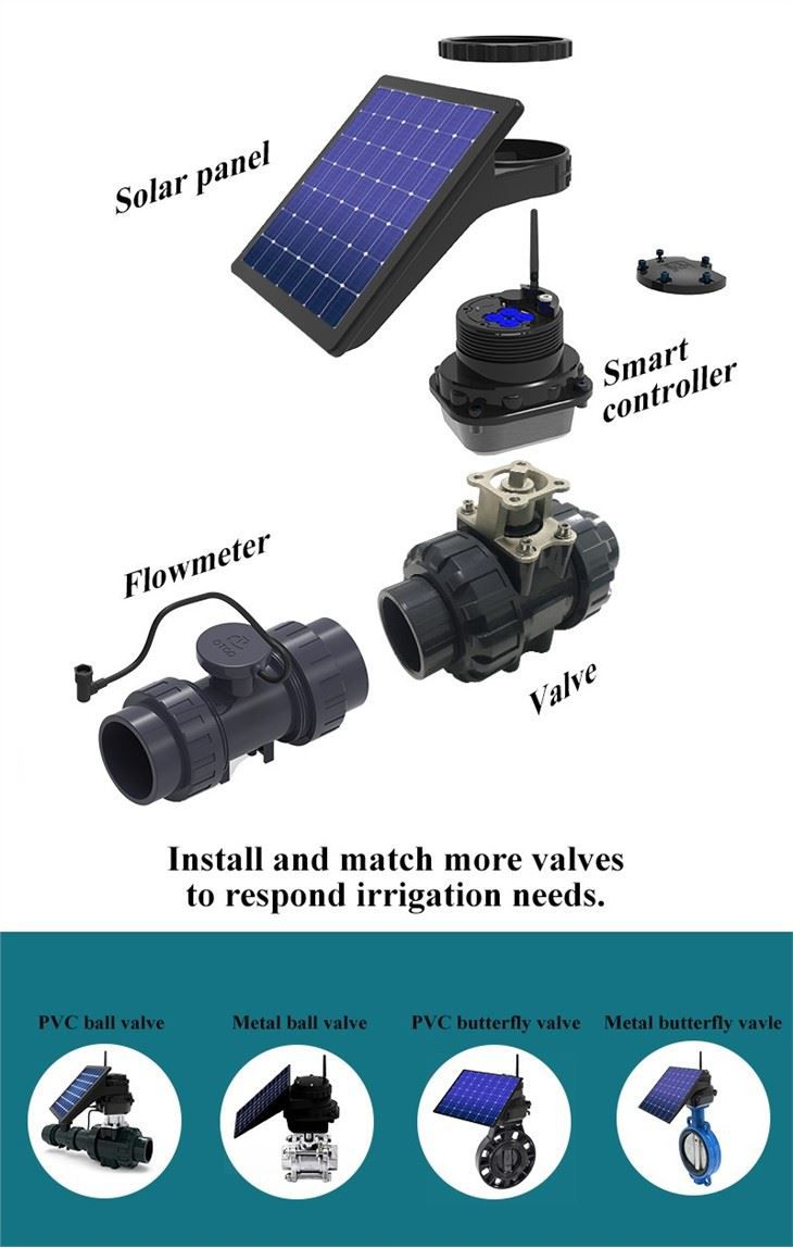 Greenhouse Irrigation Timer for pomegranate tree plantation